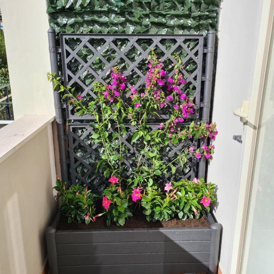Maison Flavia Sorrento Buitenkant foto
